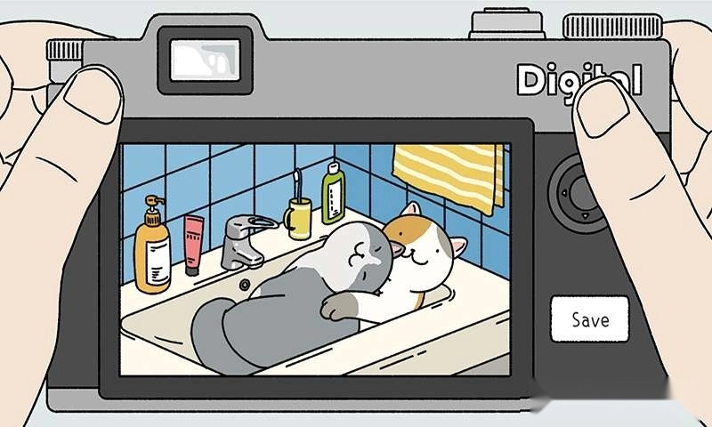 一起来养猫手机版图4