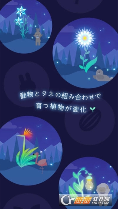 猫星大作战