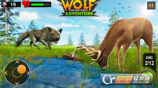 野狼狩猎-图2