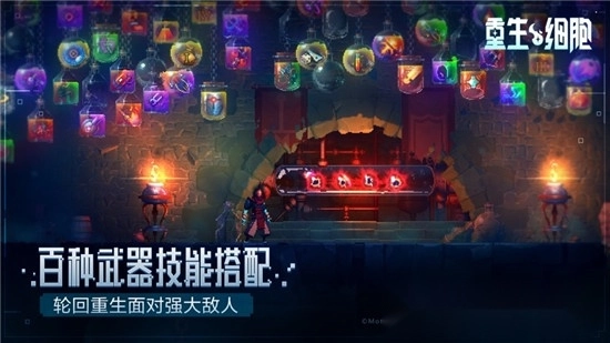 重生细胞最新版(2)