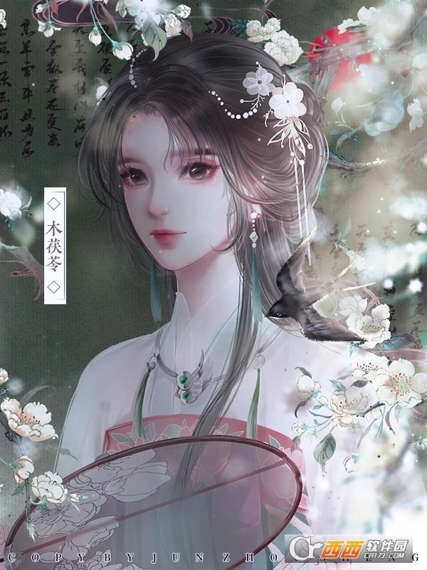 云鬓花颜安卓版-图3