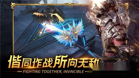 闪耀圣骑