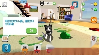 我的收养猫咪