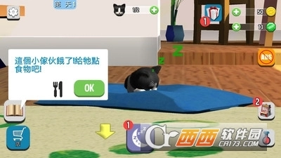 我的收养猫咪