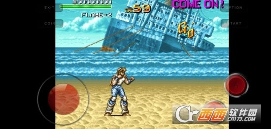 暴力刑警汉化版