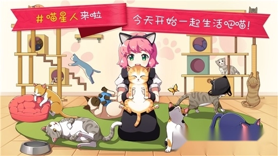 猫猫咖啡屋