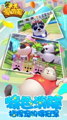 天天爱萌宠游戏