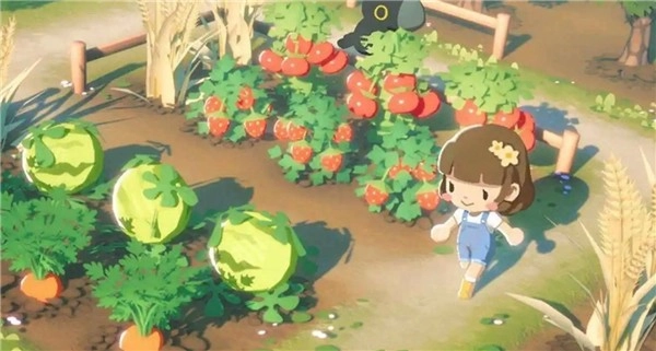 puffpalsislandskies官网版(3)