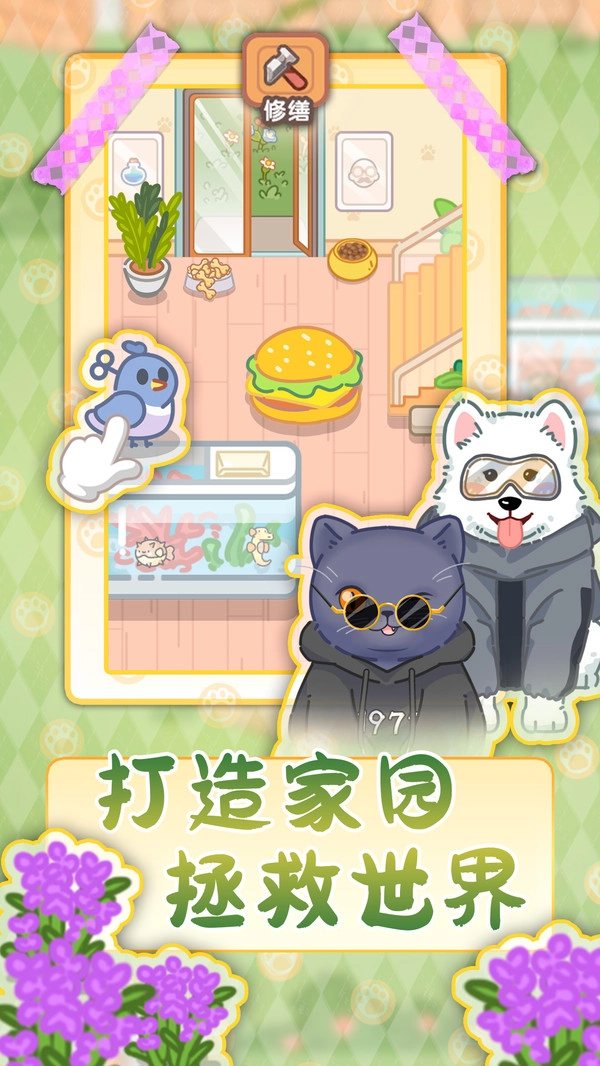 猫猫狗狗一起玩图2