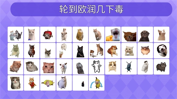 女巫的毒药猫meme版