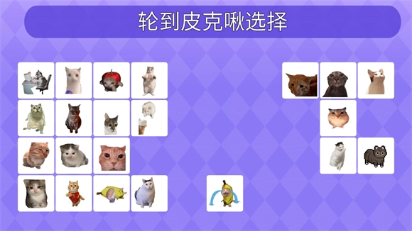 女巫的毒药猫meme版