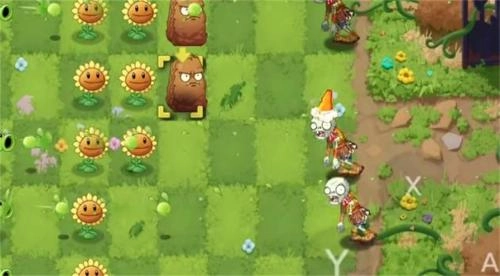 植物大战僵尸ta支线2