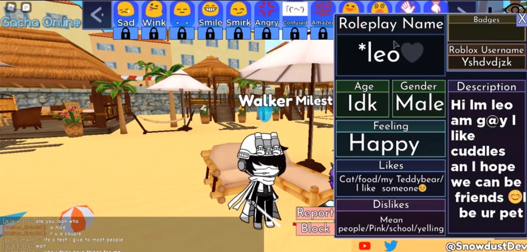 roblox国际版