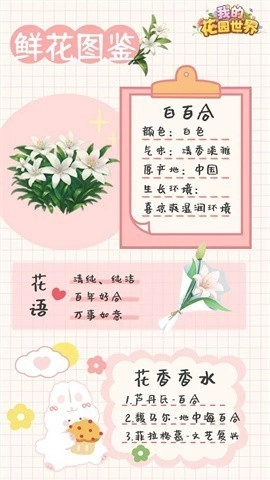 我的花园世界 第3张图
