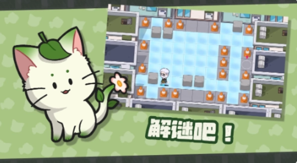 猫咪任务