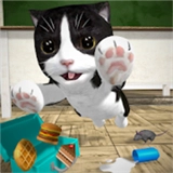 猫咪模拟器2025
