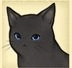 猫咪天堂手机版(4)