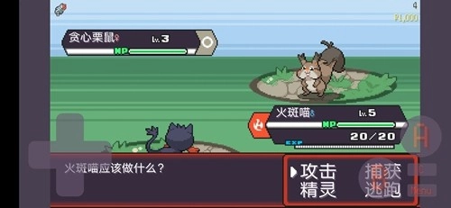 宝可梦肉鸽手机版-图3