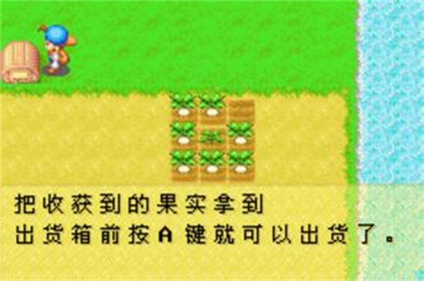 牧场物语矿石镇的伙伴们女孩版3