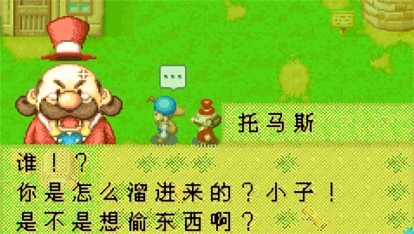 牧场物语矿石镇的伙伴们女孩版2