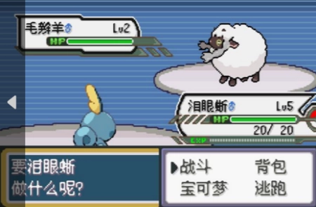 口袋妖怪剑盾汉化版