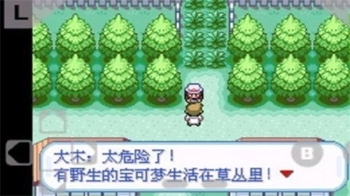 口袋妖怪火红最新版-图1