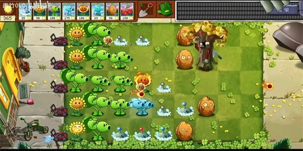 植物大战僵尸转基因版图5