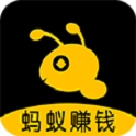 蚂蚁盒子