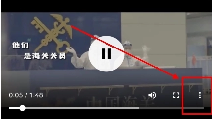 viax浏览器旧版(5)