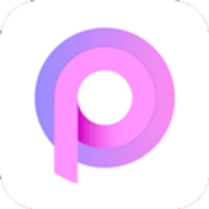 pp浏览器安卓版