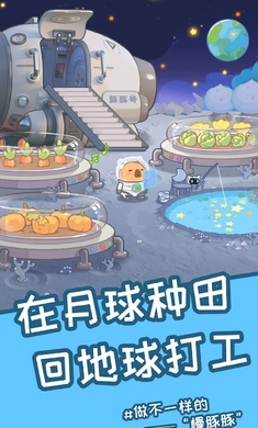 慢豚豚的生活免广告图6