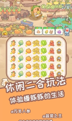 慢豚豚的生活免广告图1