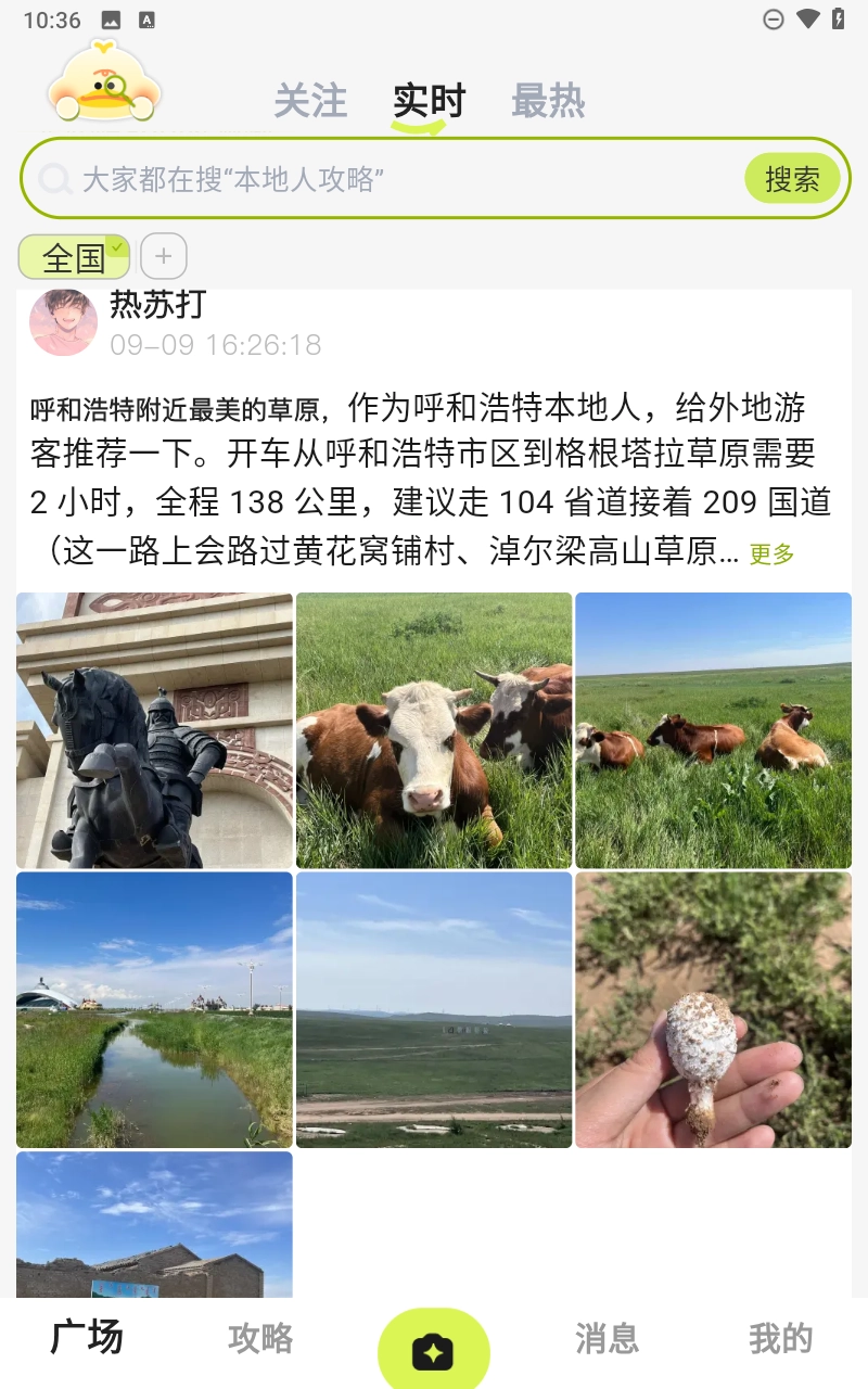 游鸭