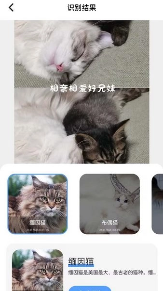 花草识图师(3)