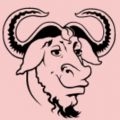 nativetest
