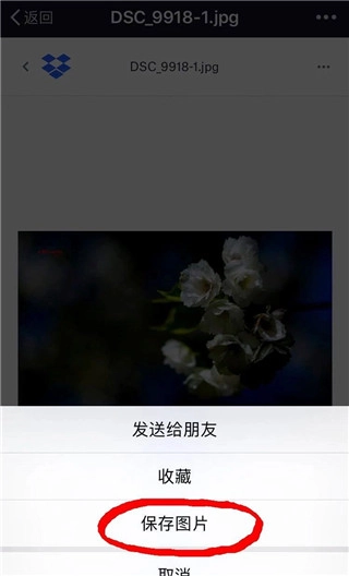 Dropbox安卓版(6)