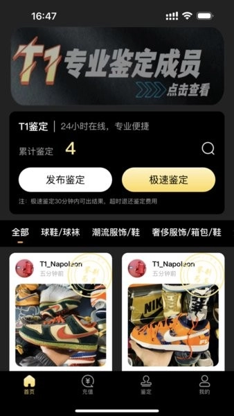 鉴定师轻量版