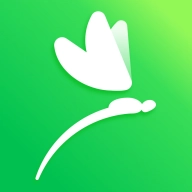 蜻蜓志愿原版