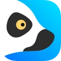 狐猴浏览器手机版