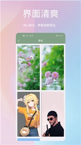 鹦鹉螺壁纸 2