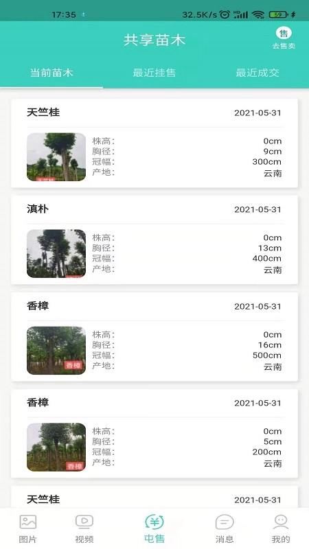 共享苗木 2