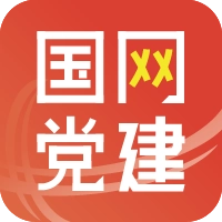 国网党建