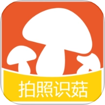 蘑菇识别高手