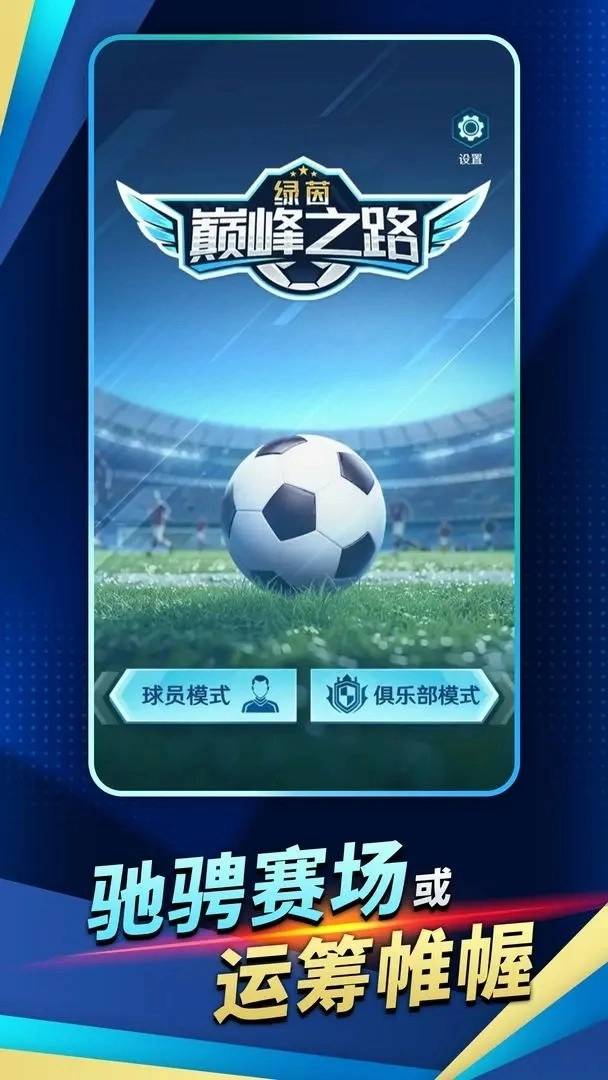 绿茵巅峰之路