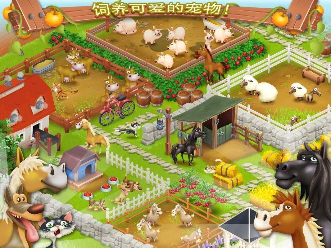 疯狂农场3俄罗斯村庄(FarmFrenzy3)(3)