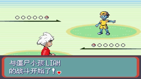 口袋妖怪蛇纹木(2)