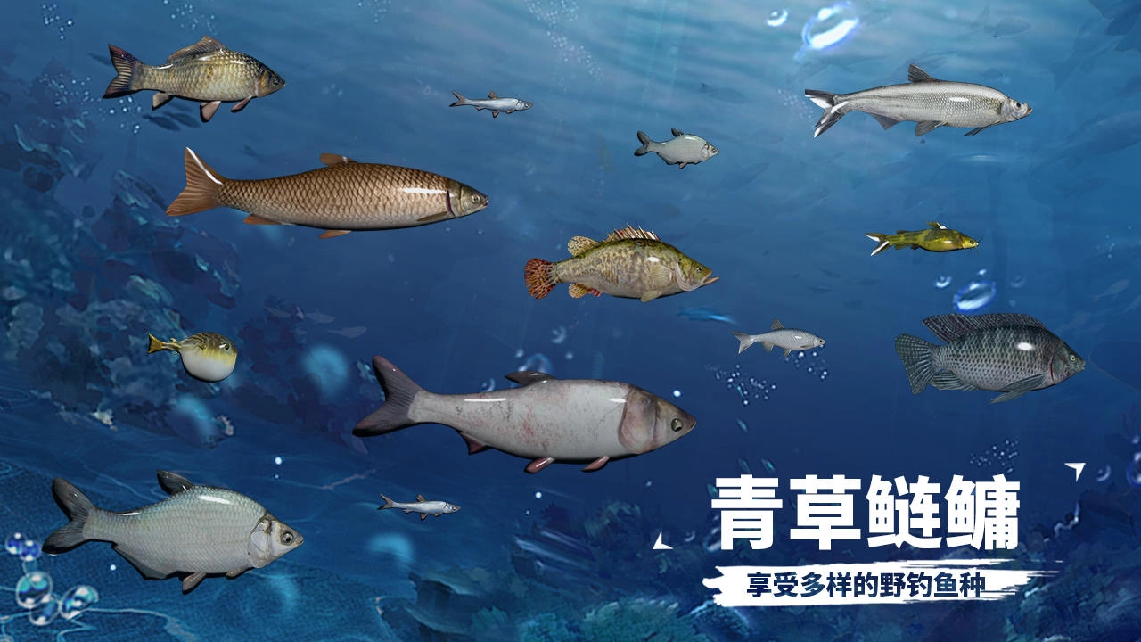 天天钓鱼2025最新版图2