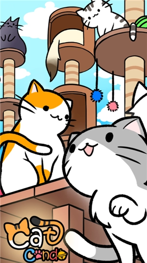 CatCondo-图1