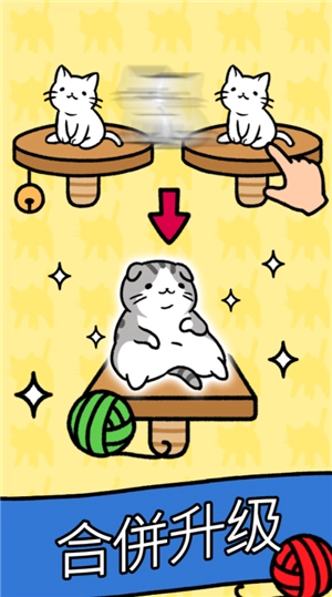 CatCondo-图3
