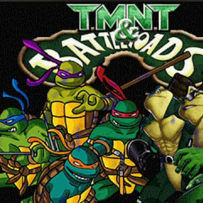 忍者神龟和忍者蛙